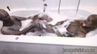 Glitter Pantyhose Encasement Bubble Bath Confession